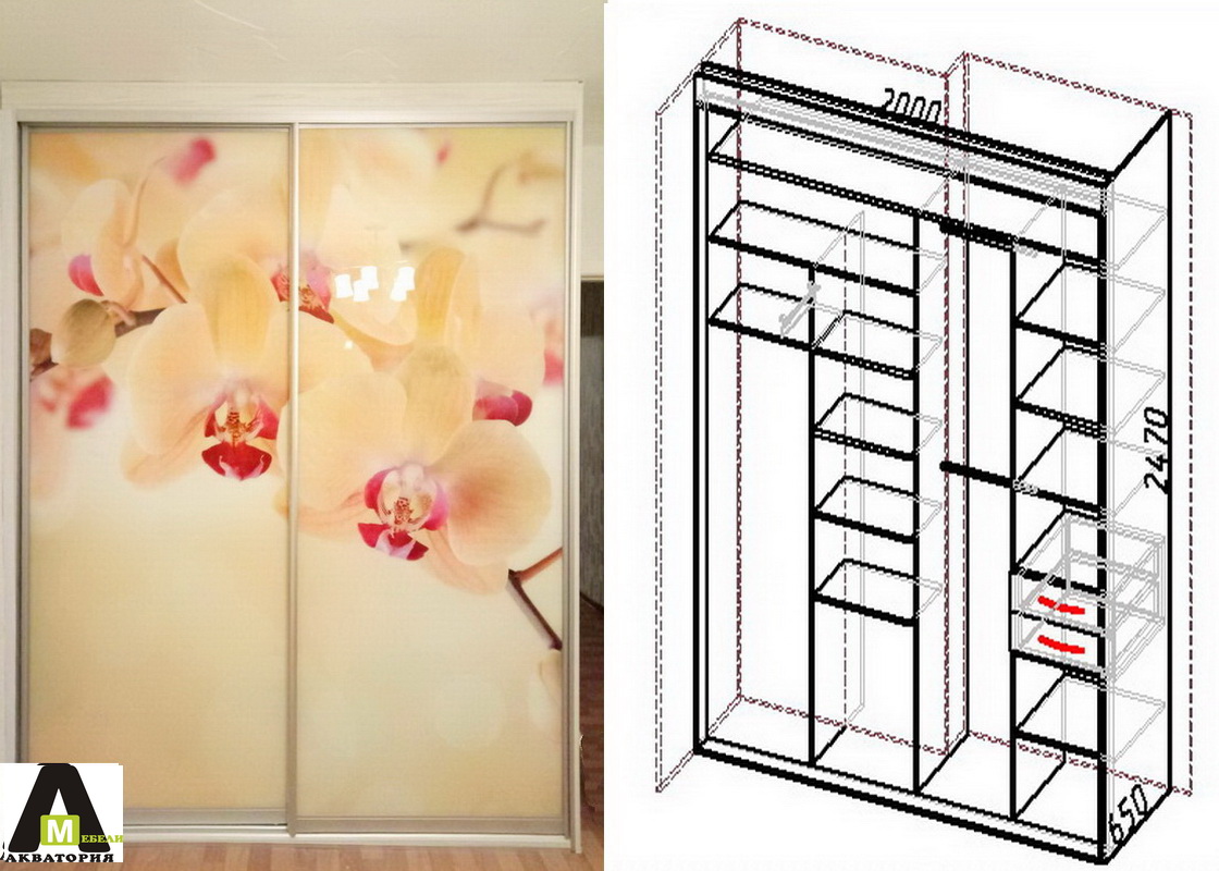 Встроенный шкаф с рисунком фотопечать Орхидеи